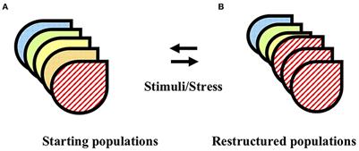 Molecular Mechanisms of Pituitary Cell Plasticity